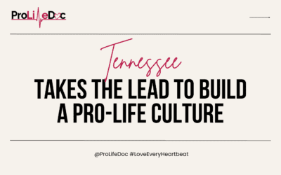 Tennessee Takes the Lead in Building a True Pro-Life Culture