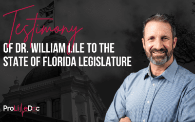 Testimony of Dr. William Lile to the State of Florida Legislature