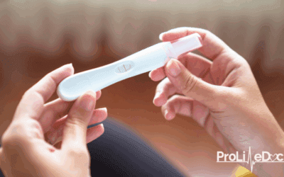 Empowered to Choose Life: How to Find Pro-Life Resources in Your Community