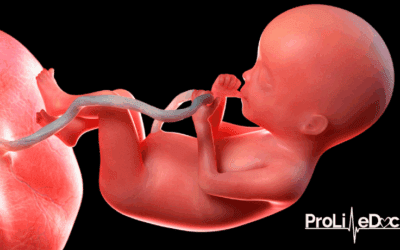 The Amazing Placenta: A Masterpiece of Design