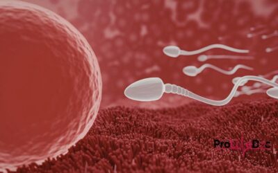 Exploring the Science Supporting the Pro-Life Movement