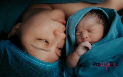 Fearfully & Wonderfully Made: The Immune System’s Early Defenses
