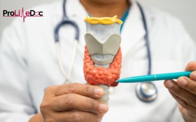 Fearfully & Wonderfully Made: The Thyroid’s Role in Metabolic Harmony