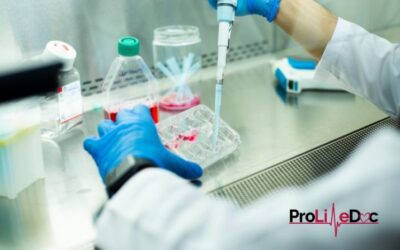 In Utero Stem Cell Therapy for Sickle Cell Anemia